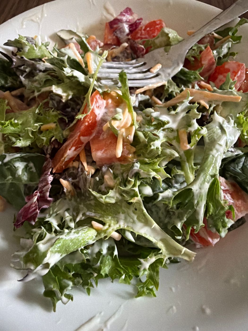 Garden Loaded Salad — 2